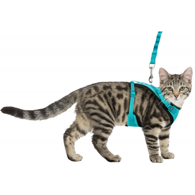 Les meilleurs harnais pour chat sur le marché AlmAnimal