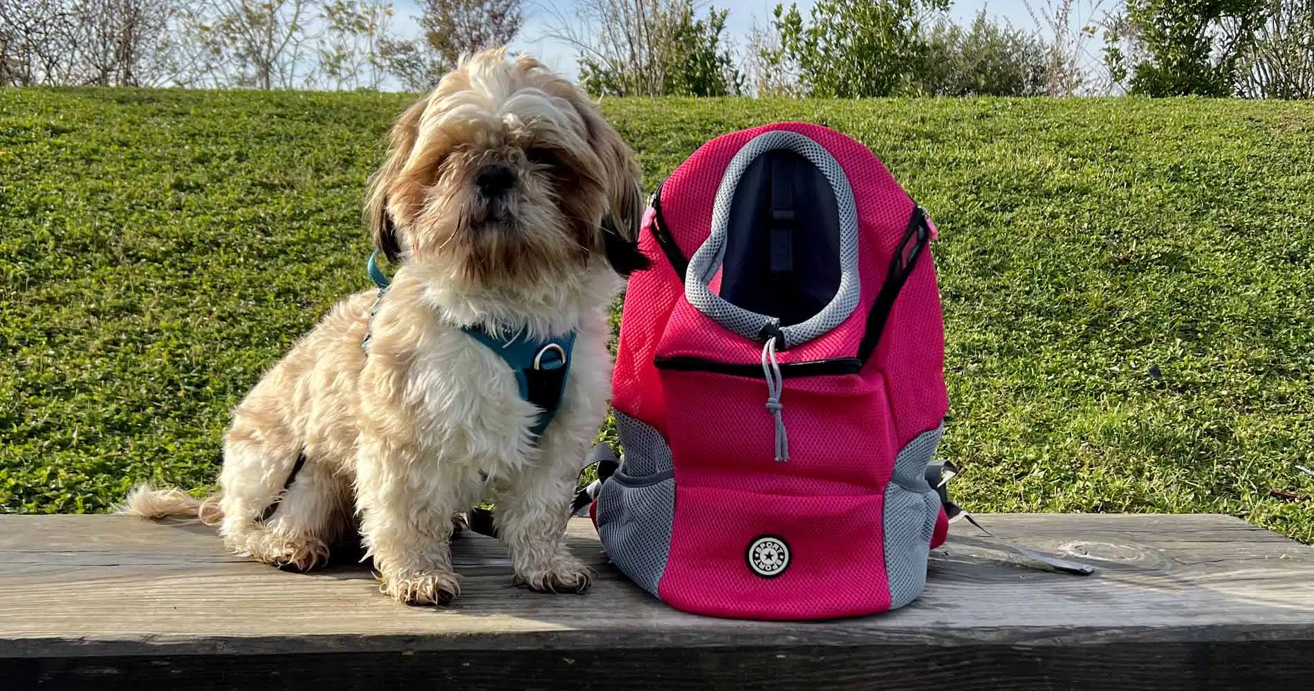 Sacs à dos pour chien