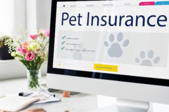 Assurance santé pour animaux : ce que tout propriétaire devrait savoir avant de souscrire